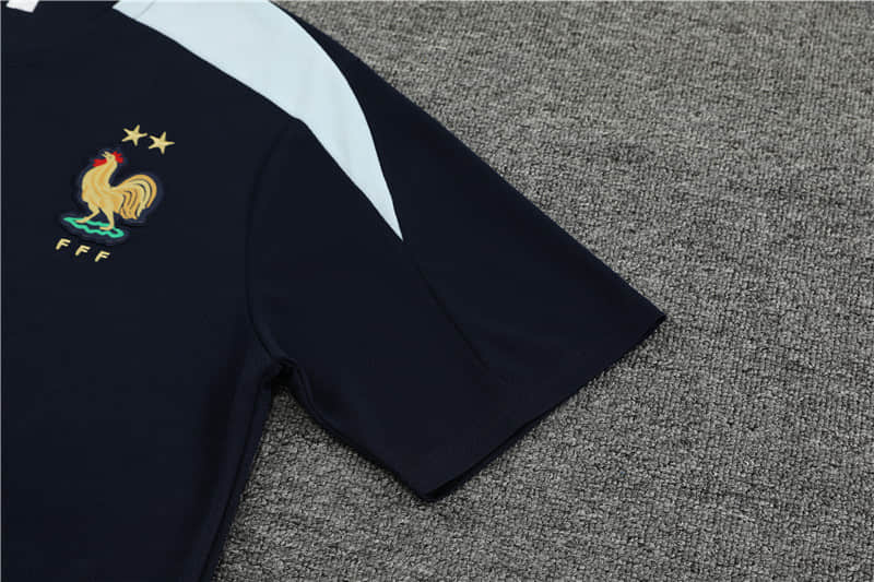 24/25 France Training suit kit