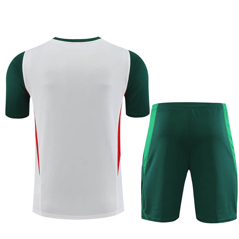 23/24 Mexico Training suit kit