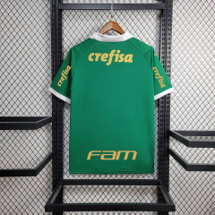 24/25 Palmeiras Home