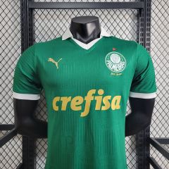 24/25 Player Palmeiras Home