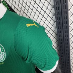24/25 Player Palmeiras Home
