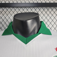 24/25 player Palmeiras away