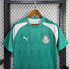 24/25 Palmeiras Training clothing