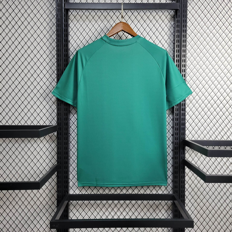 24/25 Palmeiras Training clothing