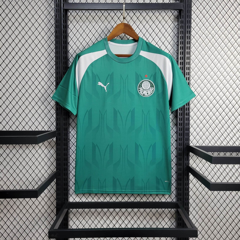 24/25 Palmeiras Training clothing