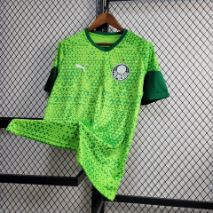 24/25 Palmeiras training wear