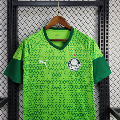 24/25 Palmeiras training wear