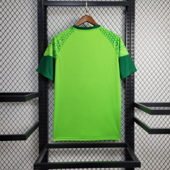 24/25 Palmeiras training wear
