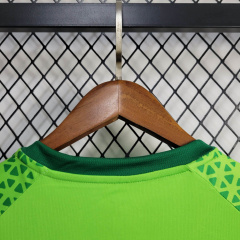24/25 Palmeiras training wear