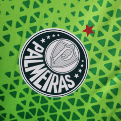 24/25 Palmeiras training wear