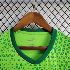 24/25 Palmeiras training wear