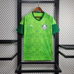 24/25 Palmeiras training wear