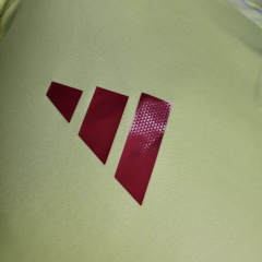 24/25 player Spain away