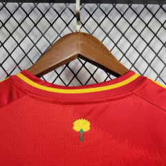 24/25 Spain Home