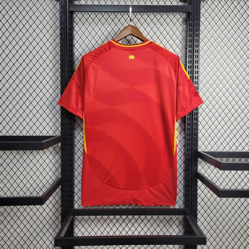 24/25 Spain Home