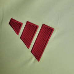24/25 Spain away