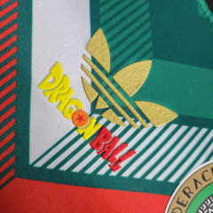 24/25 player Mexico Special edition