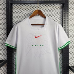 24/25 Nigeria Home