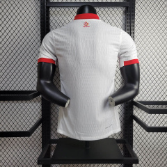 24/25 player Poland home