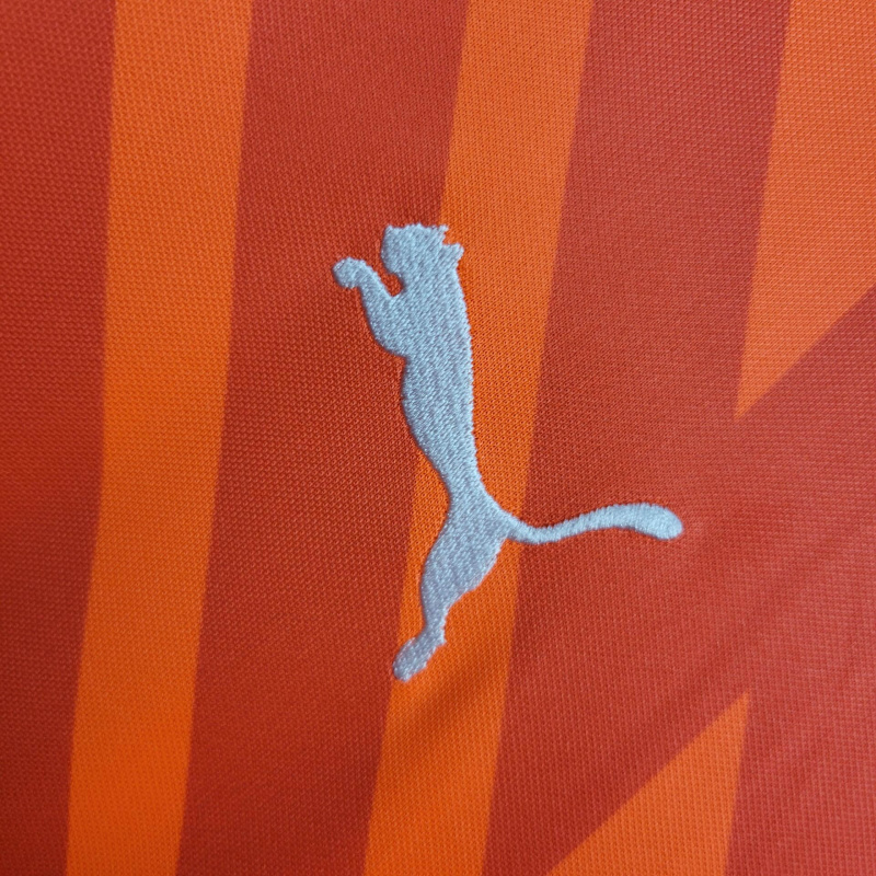 24/25 Palmeiras Orange goalkeeper