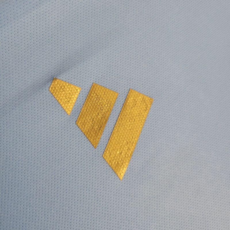 Argentina Training uniform 24/25