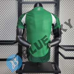 Mexico 24/25 player training jersey football shirt