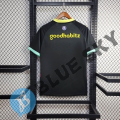 PSV Eindhoven away 24/25 football team shirt