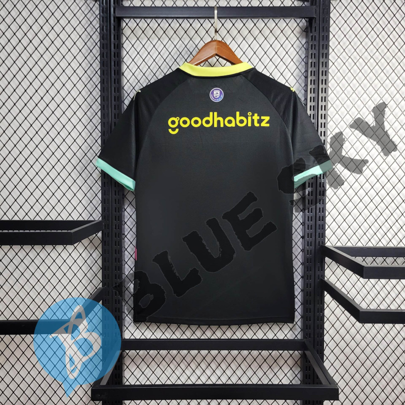 PSV Eindhoven away 24/25 football team shirt