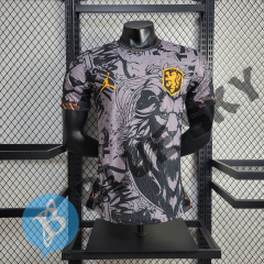 Dutch Jordan version 24/25 player football team shirt
