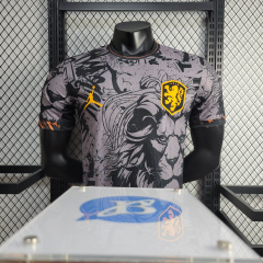 Dutch Jordan version 24/25 player football team shirt