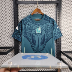 Mexico Training uniform 24/25 football team shirt