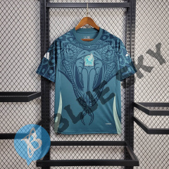 Mexico Training uniform 24/25 football team shirt
