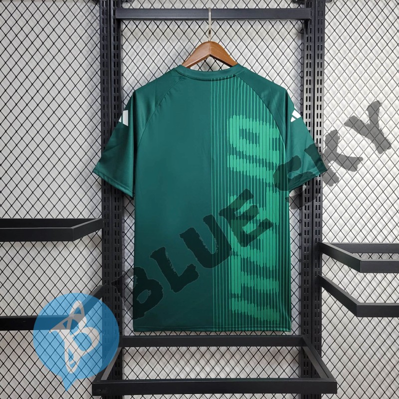 Italy Training clothing 24/25 Football Team Shirts