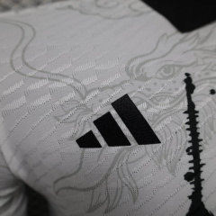 Japan Special Edition 24/25 Player football team shirt