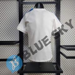 Italy Co branded shirts 24/25 football team shirt