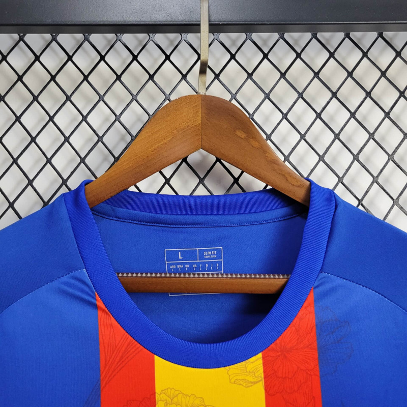 Spain Training uniform 24/25 football team shirt
