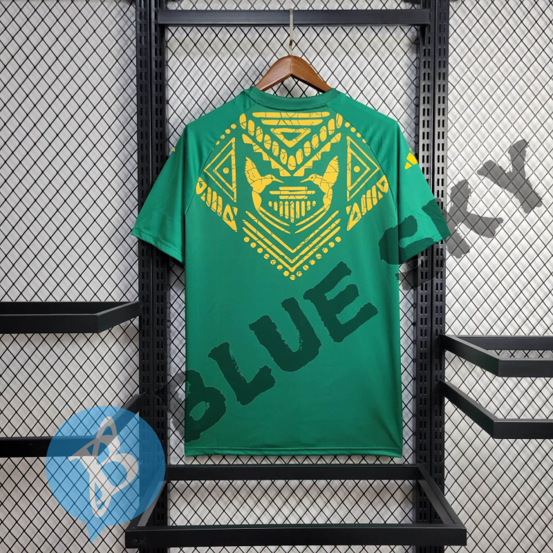 Jamaica Training uniform 24/25 football team shirt