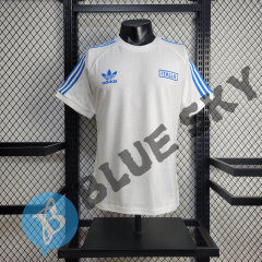 Italy Co branded shirts 24/25 football team shirt