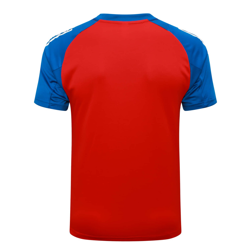 EURO2024 Spain Training clothes   24/25 Football Team Shirt