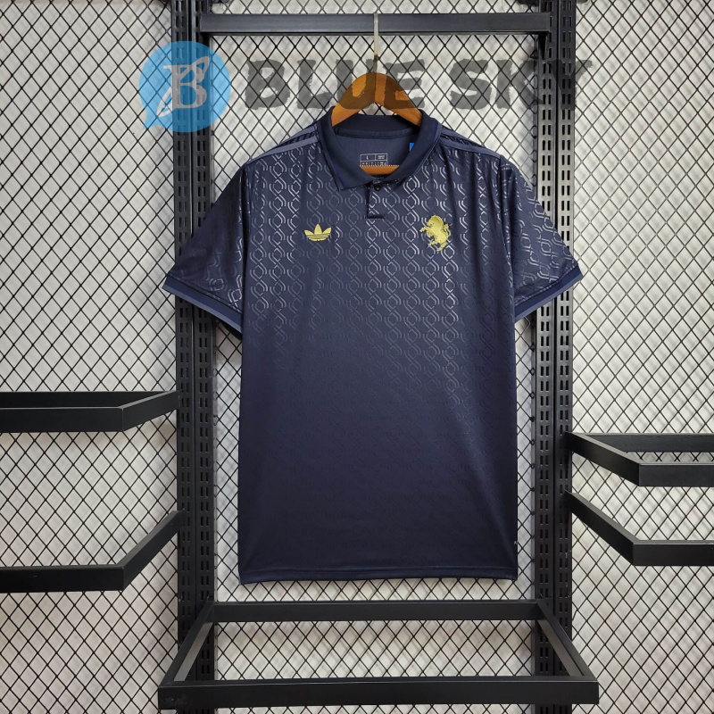 Juventus 2 away 24/25 football team shirt Jersey