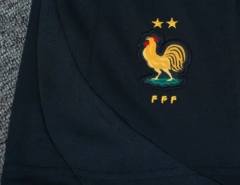 France 24/25 Training Shirt and Shorts Set