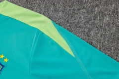 Brazil 2024 Training Shirt and Shorts Set D991
