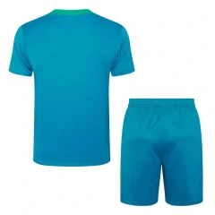 Portugal 2024 Training Shirt and Shorts Set D995