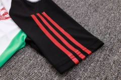 Manchester United 23/24 Training Shirt and 3/4 Pants Set D832