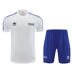 Italy 2024 Training Shirt and Shorts Set