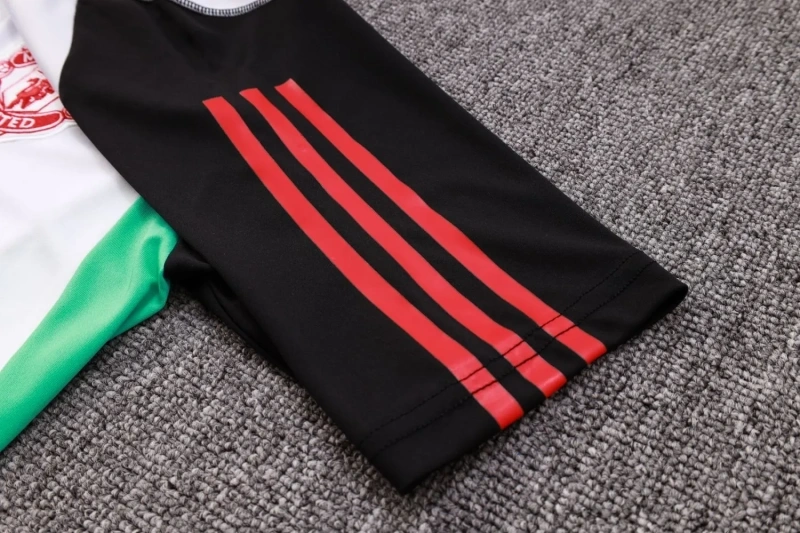 Manchester United 23/24 Training Shirt and 3/4 Pants Set D832