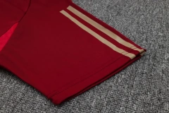 Arsenal 23/24 Training Shirt and 3/4 Pants Set D949
