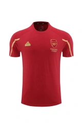Arsenal 24/25 Team Shirt and Shorts Set Red