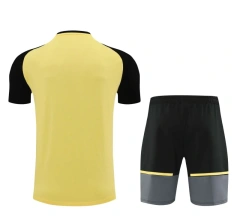Borussia Dortmund 24/25 Team Shirt and Shorts Set Yellow