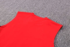 Manchester United 22/23 Sleeveless Jersey and Shorts Set D707
